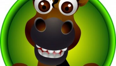 Das richtige Pferdefutter für gesunde Pferde