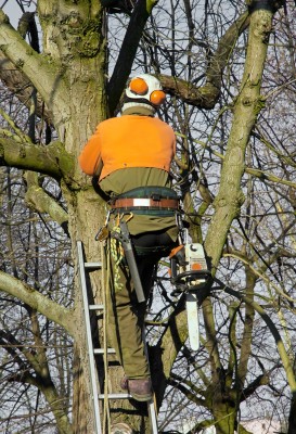 Betrieb Für Baumarbeiten