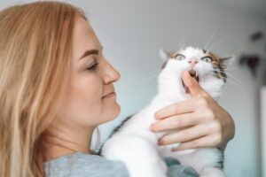 Körpersprache der Katze verstehen